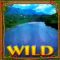 Wild symbol in Amazing Amazonia
