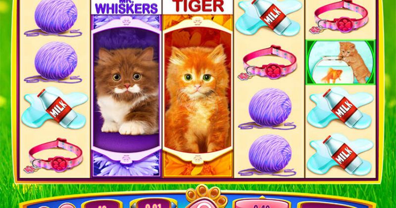 Play in  OMG! Kittens Slot Online from WMS for free now | NJ Casino