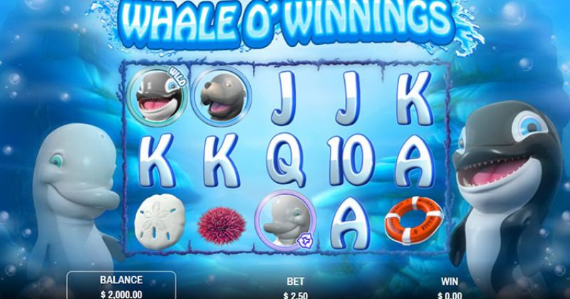 Play in Whale O'Winnings Slot Online by Rival for free now | NJ Casino
