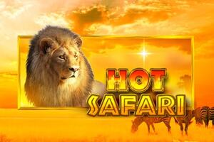 Hot Safari